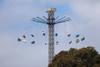 Mounted Games Take Centre Stage at Melbourne Royal Show Banner Photo