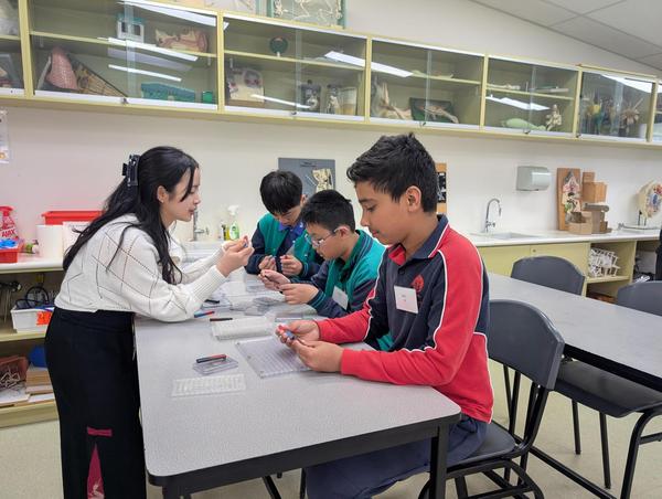 Assistant Principal (Years 7/8) Report  Banner Photo