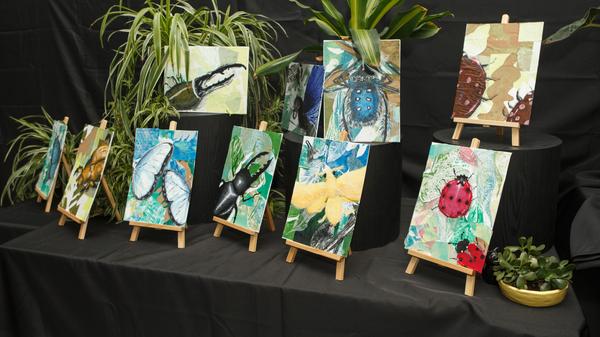 VISUAL ARTS Banner Photo