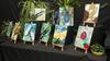 VISUAL ARTS Banner Photo