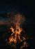 Term Tea - Bonfire Banner Photo