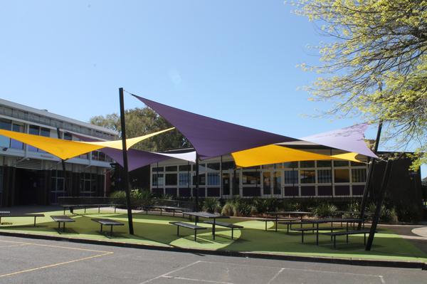 Curriculum Framework Banner Photo