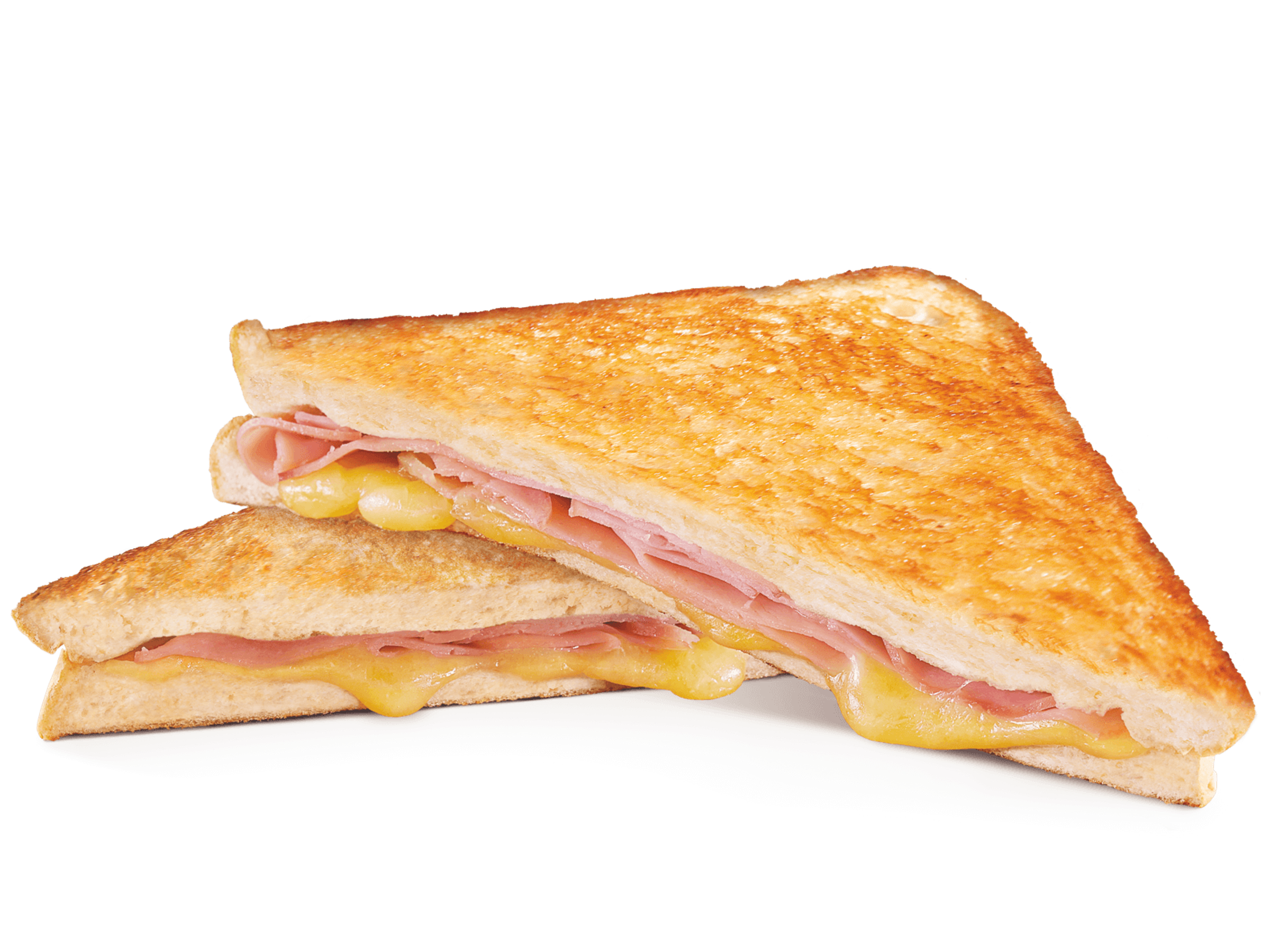 MEPS & M.C.S.C Toastie Train Banner Photo