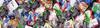 Let’s reduce soft plastic waste at BNPS Banner Photo