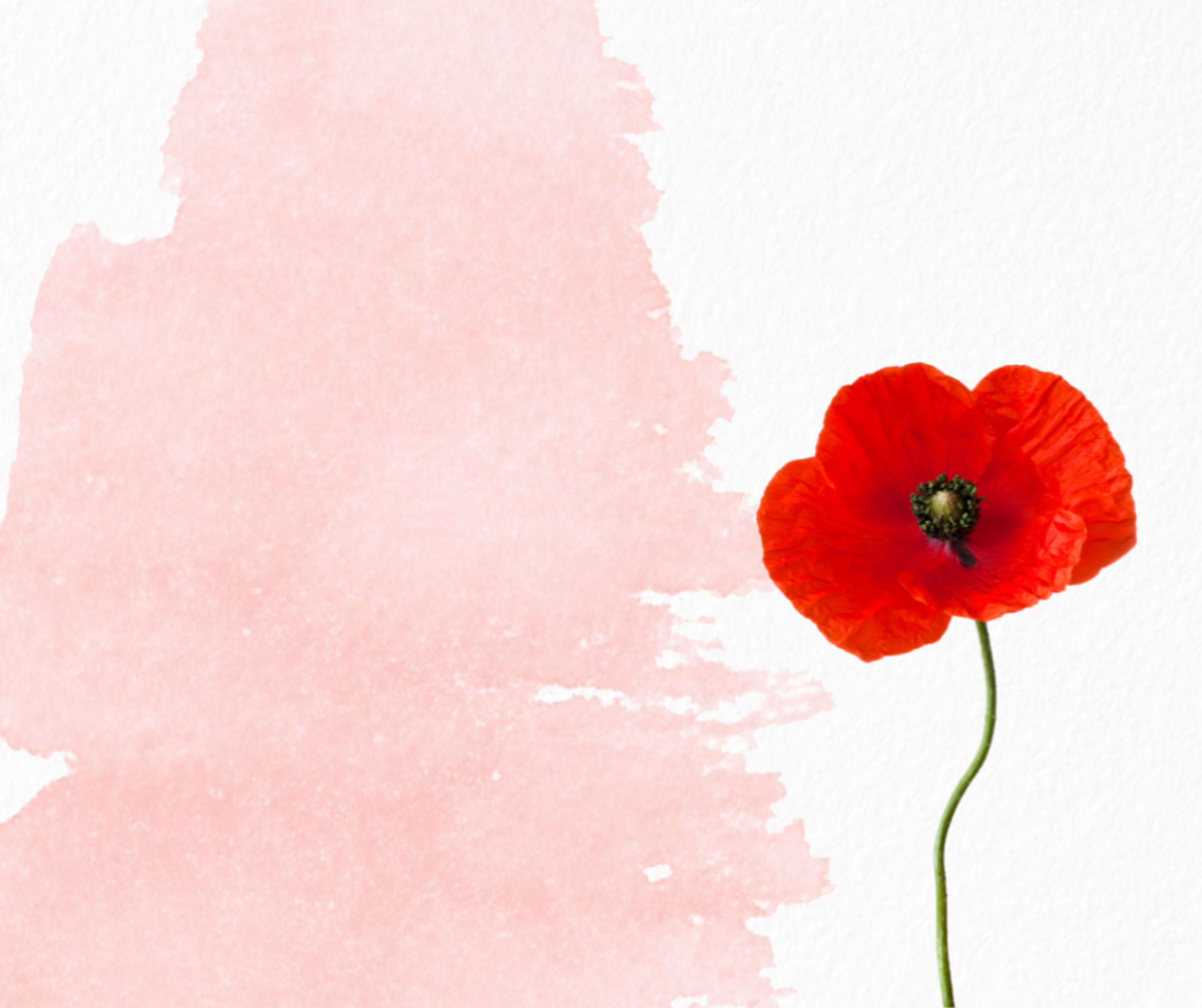 ANZAC Day 2026 Banner Photo