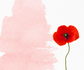 ANZAC Day 2026 Banner Photo