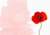 ANZAC Day 2026 Banner Photo