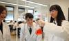 STEM Banner Photo