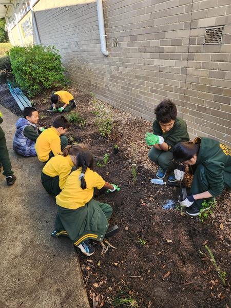 Highvale Planting Banner Photo