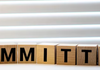 IMPORTANT Committee Update Banner Photo