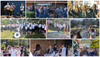 Current Page Banner Photo