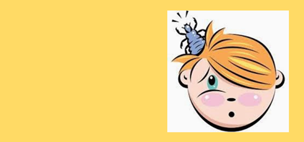 Head Lice Banner Photo