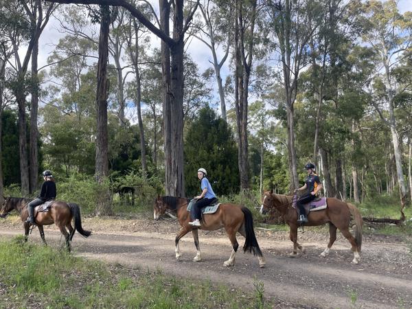 Horse Riding, Surf & Canoeing Camps Banner Photo