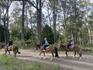 Horse Riding, Surf & Canoeing Camps Banner Photo