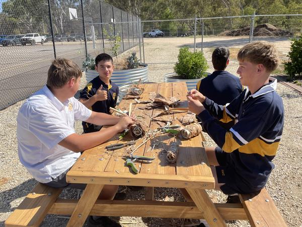 VCE Vocational Major Banner Photo