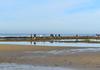 Environmental Science Banner Photo