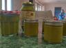 Kitchen Garden Banner Photo