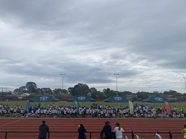 2025 HOUSE SPORTS DAY Banner Photo