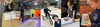 Community Notices Banner Photo