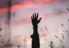 Reflection Banner Photo