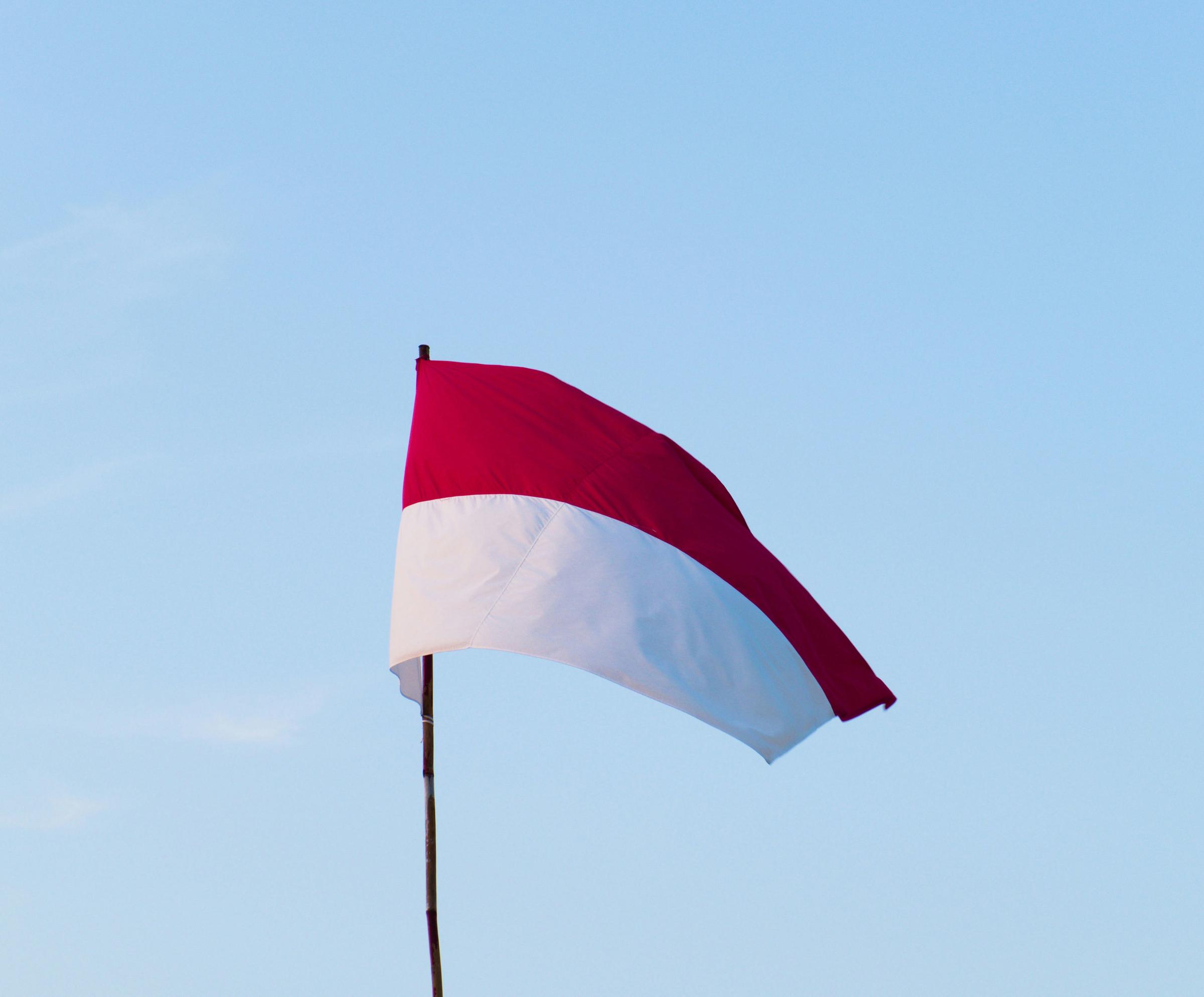 Indo Info Banner Photo