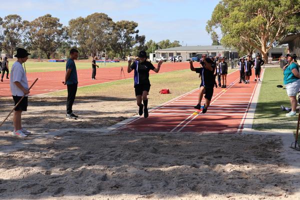 Program News Banner Photo