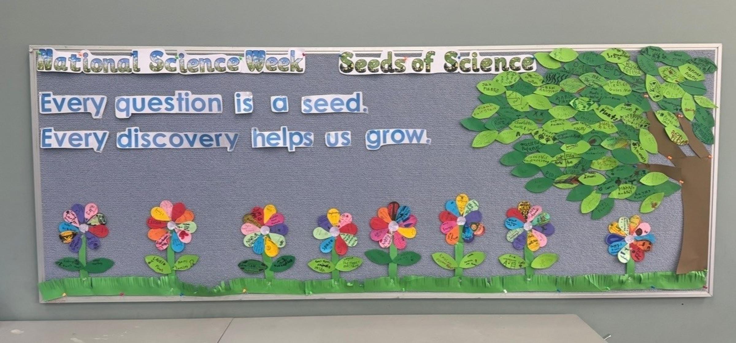 STEM Banner Photo