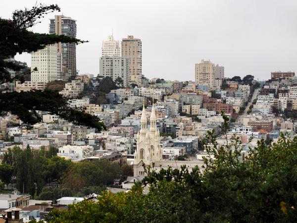 Principal's Report  Banner Photo