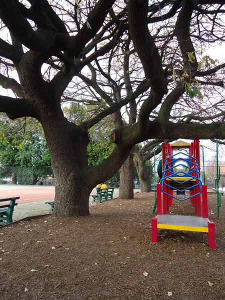 School News Banner Photo