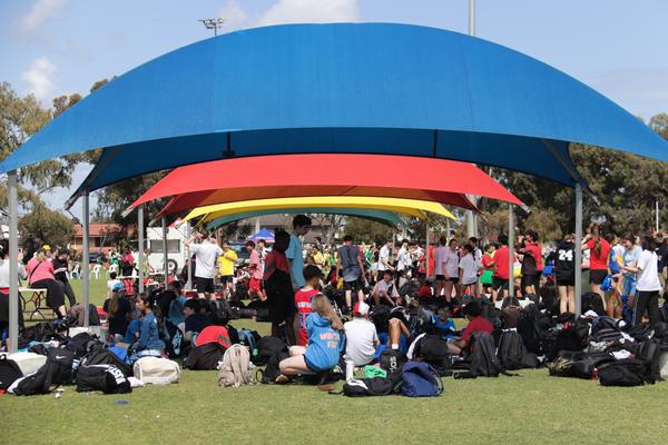 Health & Physical Education Banner Photo