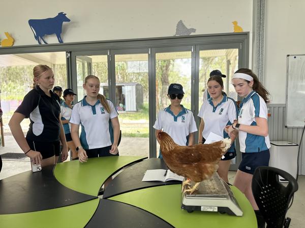 KLA Feature: Year 9 Banner Photo