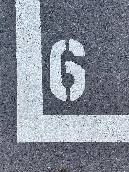 Year Six Spotlight on Learning Banner Photo