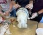 Extension Program – Artist Workshop in Art & Technology Banner Photo