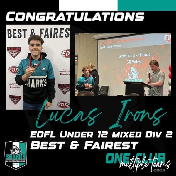 Australian Rules Football Banner Photo