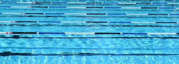 Swimming Carnival 2026 Banner Photo