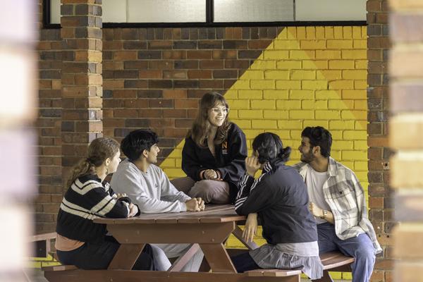 Spotlight Banner Photo