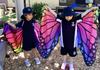 ELC News Banner Photo