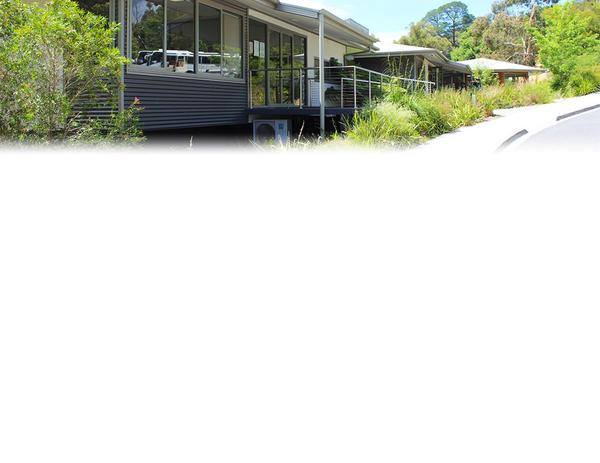 Whole School (2 of 2) Banner Photo