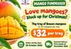 P&F Mango Fundraiser Banner Photo