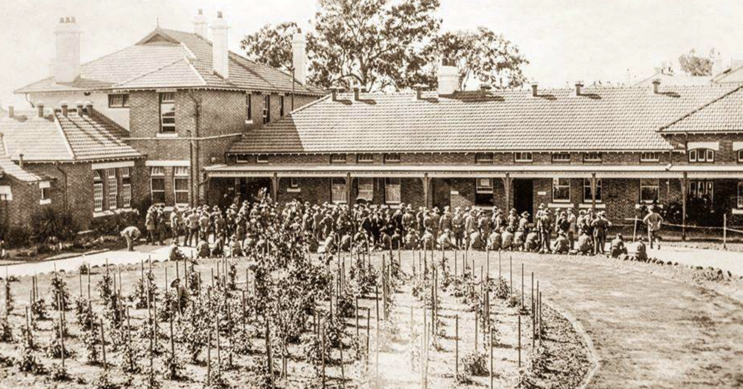 History of University Campus Banner Photo
