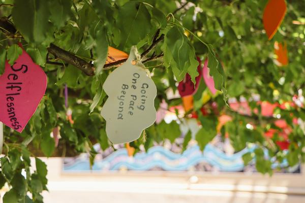 Student Achievements Banner Photo