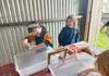 1/2 Classrooms Banner Photo