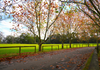 Page 0 Banner Photo