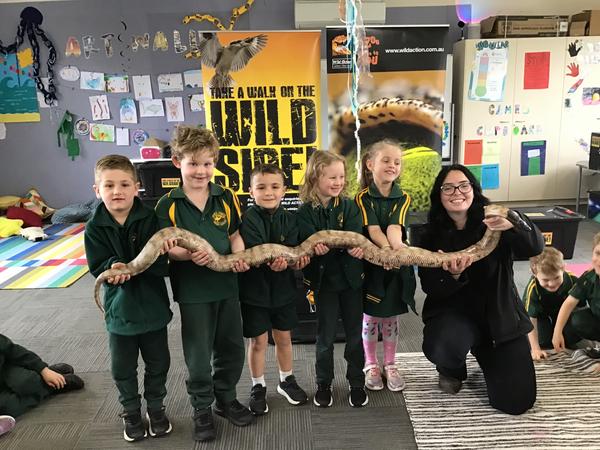 Foundation Banner Photo