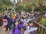 Year 3 Melbourne Zoo Excursion Banner Photo