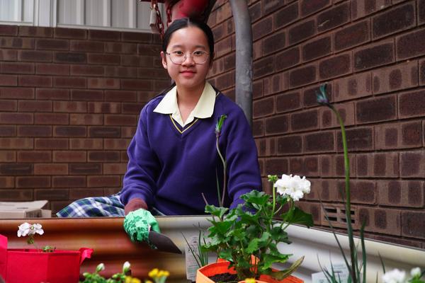 Climate Canons Banner Photo