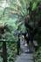 Year 10 Kokoda Excursion Banner Photo