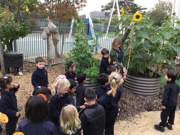 ELC News Banner Photo