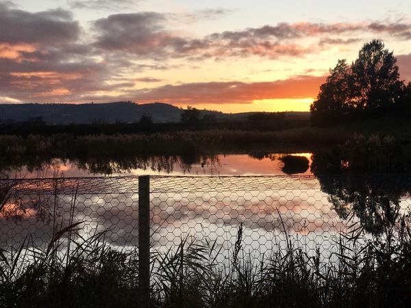 Reconciliation Action Plan News  Banner Photo