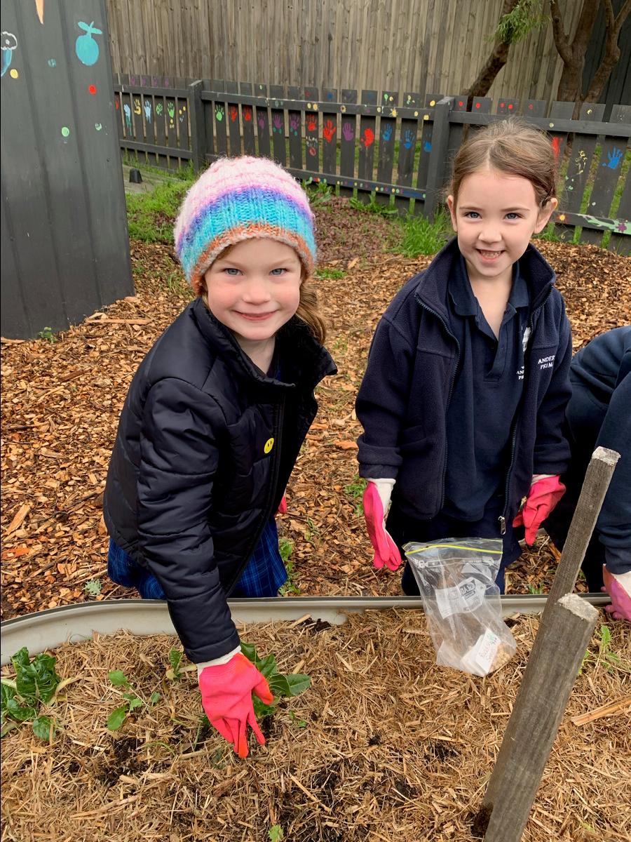 Andersons Creek Primary School Newsletter - The Attention - 17 June 2022